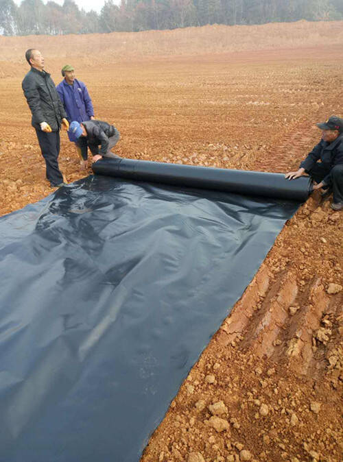 垃圾填埋場(chǎng)專用土工膜